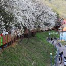 이국정서 이미지