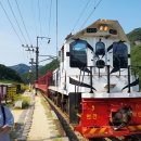 백두여행사 | 백두대간협곡열차 V-train, 가을 단풍 속으로 떠나는 협곡 여행