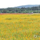 성읍리-23 이미지