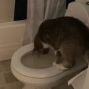 상쾌한항맥외과의원 | [창원시] 상쾌한항맥외과의원 치질 치핵 수술 후기 리뷰 모음