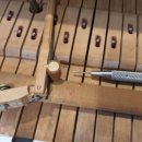 라온음악학원 이미지