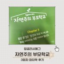 잉글리시에그 자연주의 부모학교 3회차 후기 엄마표영어 영어루틴만들기