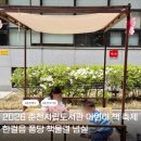 CU 춘천제일점 | 2026 춘천시립도서관 어린이 책 축제 후기 춘천가볼만한곳 한걸음 퐁당 책물결 넘실