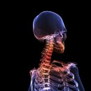 맑은숲한의원 이미지