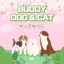 버디독 강아지분양 고양이분양 안심분양센터 광명점 이미지