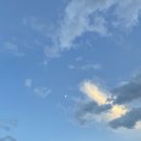 경훈미술관 | 제발 한 그릇 더　オカワリヲドーゾ