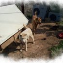 미수농장 이미지