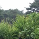 은주농장 이미지