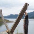 장수약국 이미지