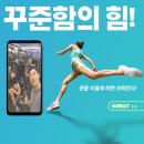 광성목욕탕 | 꾸준함의 힘! 운동 이렇게 하면 쉬워진다. 뉴비트 and 더테라휘트니스 후기