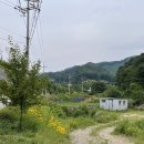 슬기로운 초록생활 이미지