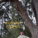 최정윤 카카오 검색결과