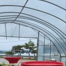 연화식당 이미지