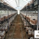 각영농장 이미지