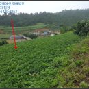 송평마을  구성마을 이미지