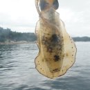 석동축산 이미지