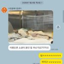 수동물메디컬센터 이미지