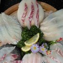 제주썬랜드호텔 | [썬랜드회센터] 제주연동횟집 제주공항 고등어회 메종글래드 제주 맛집 후기