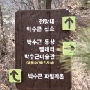 박수근미술관 이미지