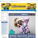 블럭팡 서울신문