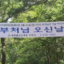 곰바위 - 강남구 | 곰바위