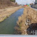발산천 이미지
