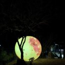 해달별펜션 | [청송 펜션 추천] - 청송해달별펜션에서 즐긴 완벽한 힐링타임