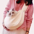 선학공원 이미지