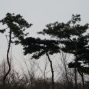 원주시청 이미지