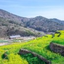 남해-137 이미지