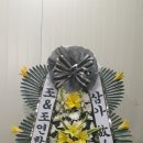 조치과의원 이미지