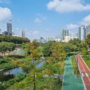 세무회계서강 - 성남시 분당구 백현로101번길 17 | 세무회계서강
