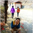 우물가 쉼터 이미지