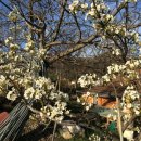 여행 영어 회화(직장인반) 이미지