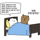 제왕소라