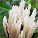 오늘도예쁘게 이미지