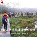 큰꽃지천 | 대암산 용늪 사전예약 방법 탐방 후기