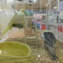 롯데마트 부평점(수족관) 이미지