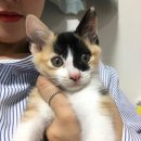 서울정우상운노동조합 | 2월의 묘미 (2/2)