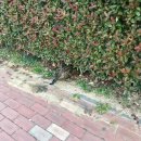 씨유 조원플러스점 | 2017년 11월 다섯째주: 12월 맞이 종강 맞이