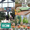 양평수목 | 경기도 양평 실내 가볼만한곳 더그림 대형카페 수목원 데이트