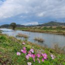 영화5길 이미지