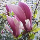 부평공업고등학교 이미지