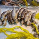 연희사러가 이미지