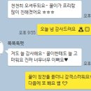 똑똑독 펫살롱 이미지