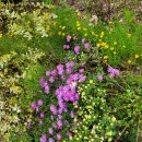 화가의정원 이미지