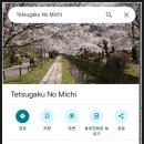 길 | 일본 교토여행 철학의 길 후기(고독한미식가 촬영지)