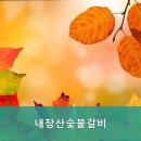 내장산숯불갈비 이미지