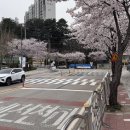 앞 횡단보도 이미지