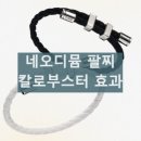 칼로부스터 팔찌 효과 네오디뮴 팔찌 효능 내돈내산 착용 후기 다니엘헤니